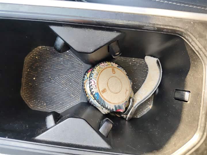 Фото 9 - Hozon V