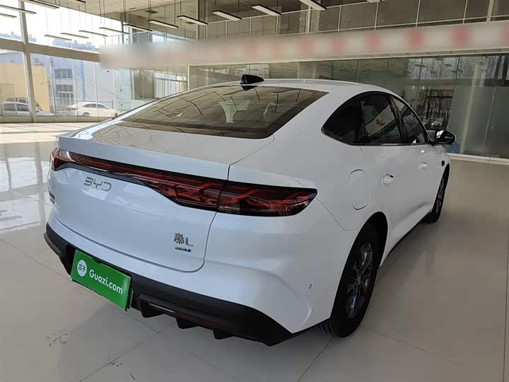 Фото 7 - BYD Qin L