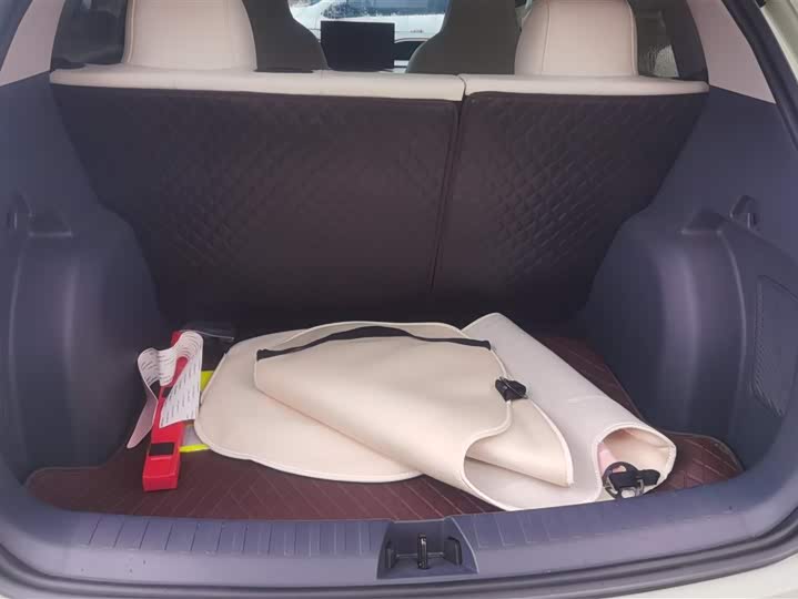 Фото 4 - Geely Galaxy Geome