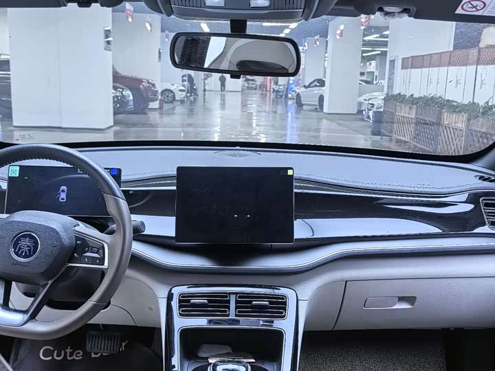 Фото 6 - BYD Qin Plus