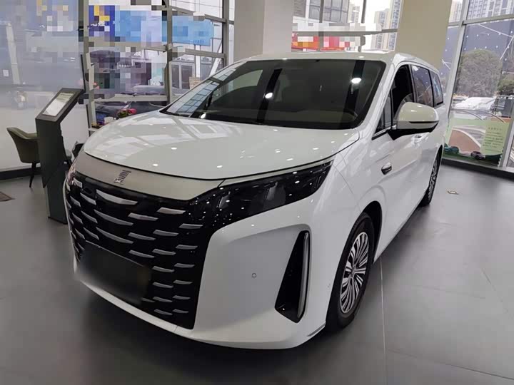 Фото 1 - BYD Xia