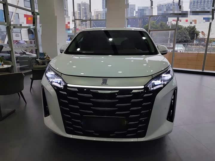 Фото 3 - BYD Xia