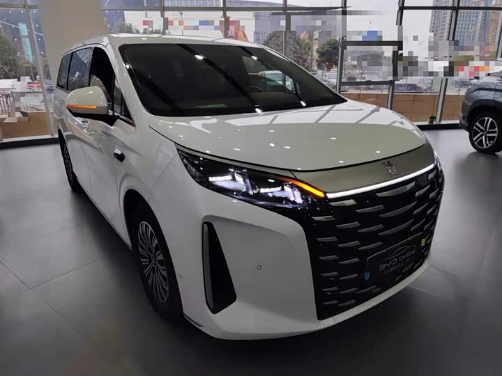 Фото 4 - BYD Xia