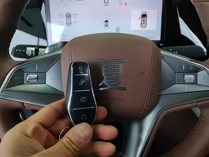 Фото 9 - BYD Xia