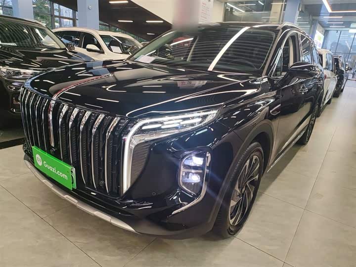 Фото 1 - Hongqi HS7 Hybrid
