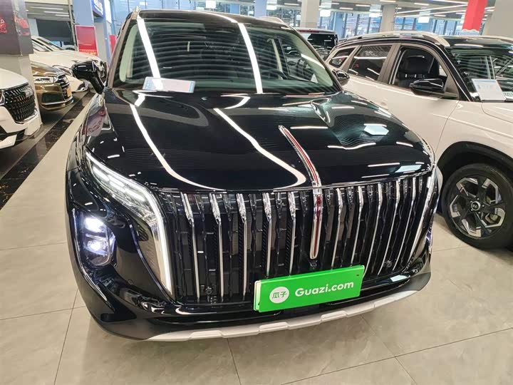 Фото 3 - Hongqi HS7 Hybrid
