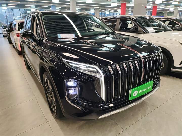 Фото 4 - Hongqi HS7 Hybrid