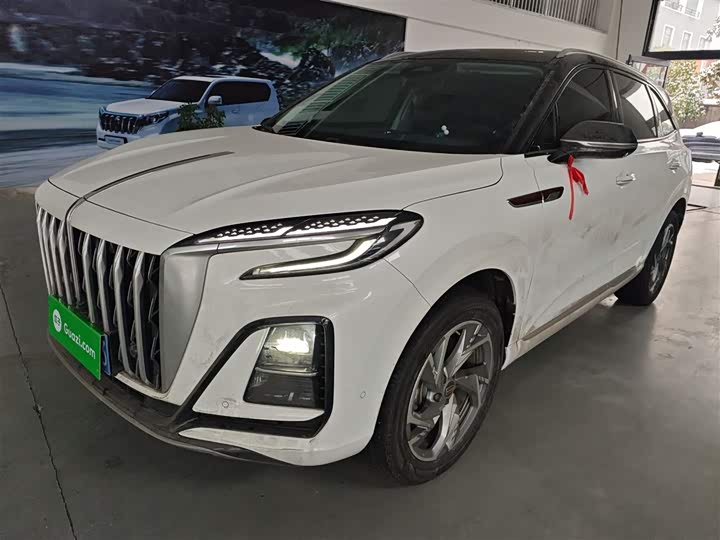Фото 2 - Hongqi HS3