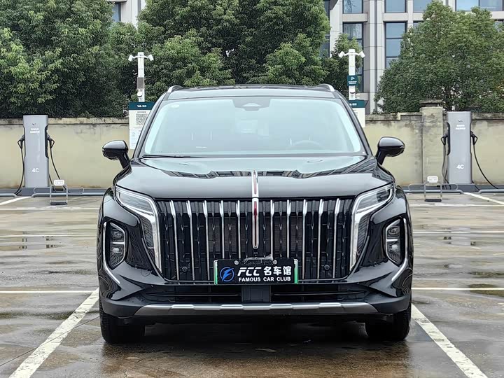Фото 2 - Hongqi HS7 Hybrid