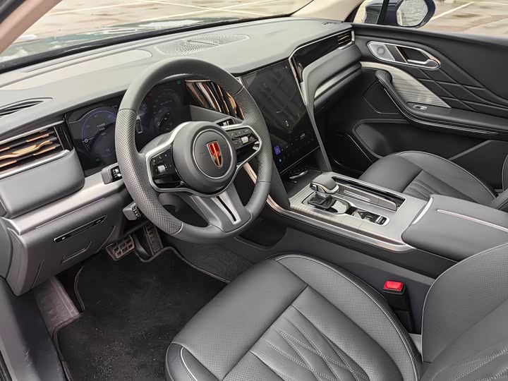 Фото 7 - Hongqi HS7 Hybrid