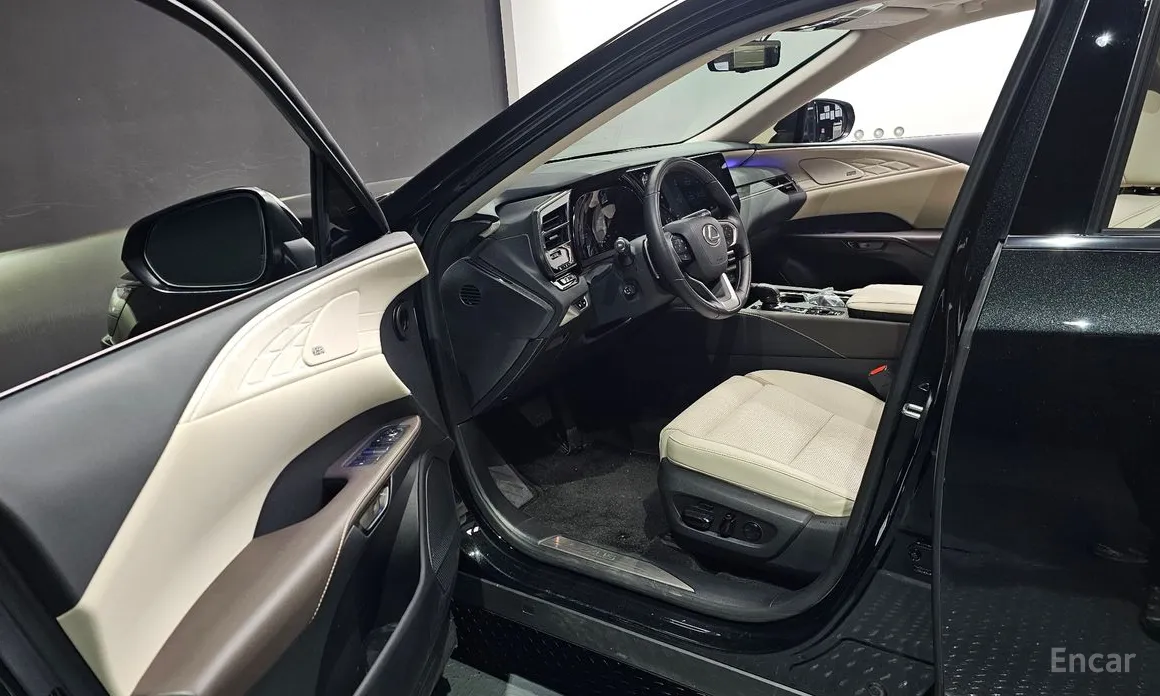 Фото 11 - Lexus RX