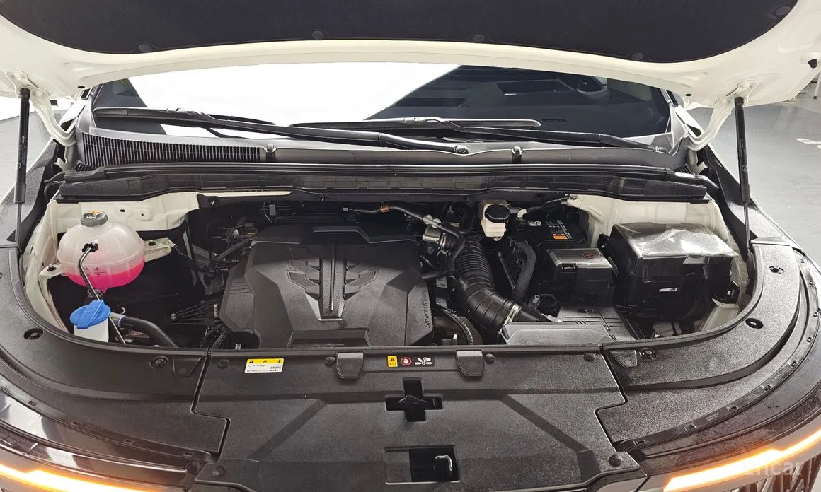 Фото 6 - Kia Carnival