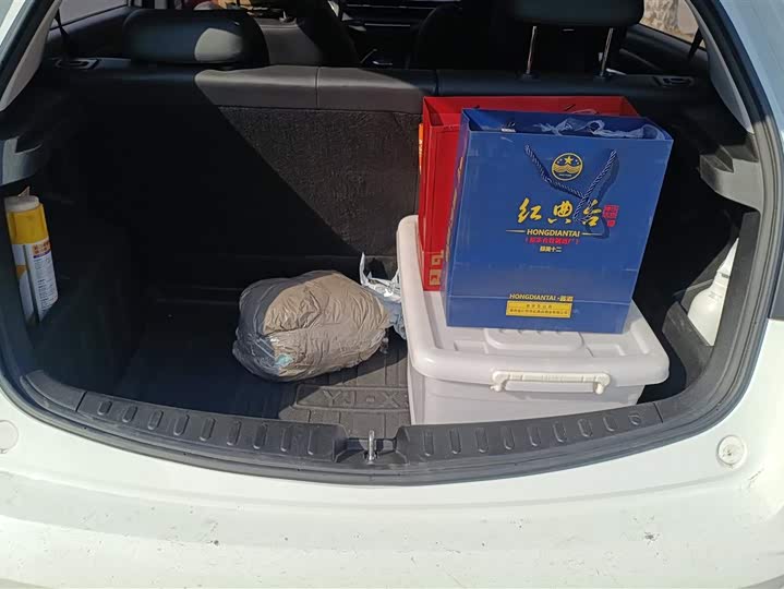 Фото 4 - Geely Vision X3