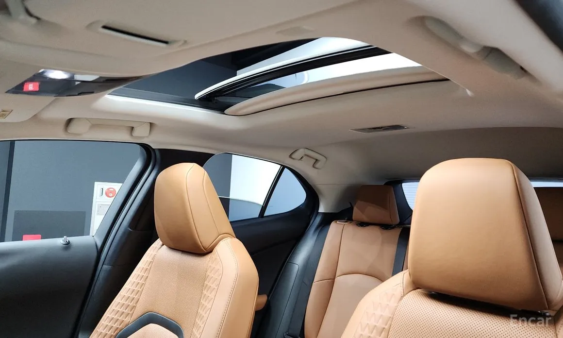 Фото 19 - Lexus UX