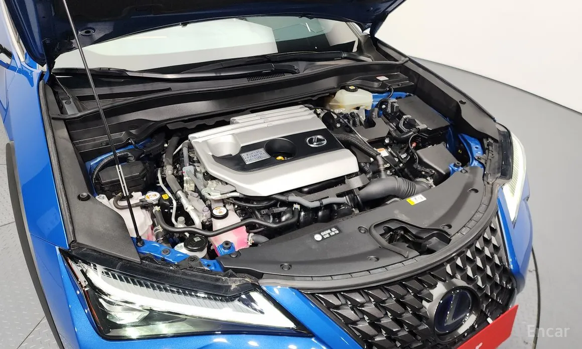 Фото 6 - Lexus UX