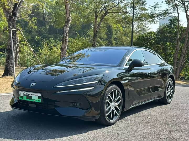 Фото 1 - Denza Z9