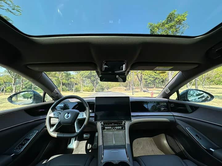 Фото 6 - Denza Z9