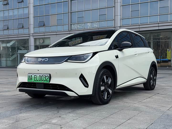 Фото 1 - BYD Dolphin