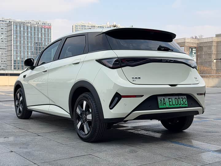 Фото 7 - BYD Dolphin