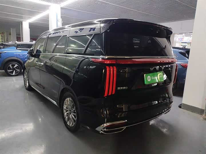 Фото 5 - Wey Gaoshan