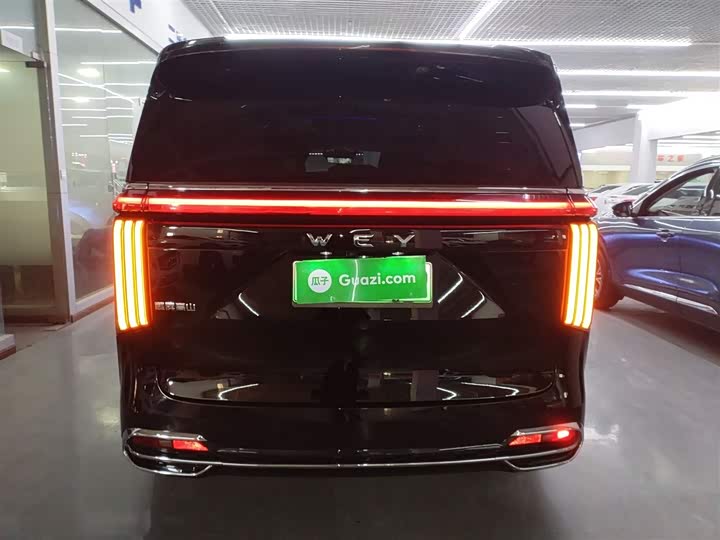 Фото 6 - Wey Gaoshan