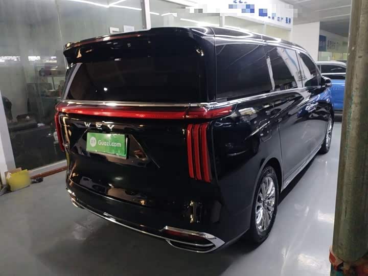 Фото 7 - Wey Gaoshan