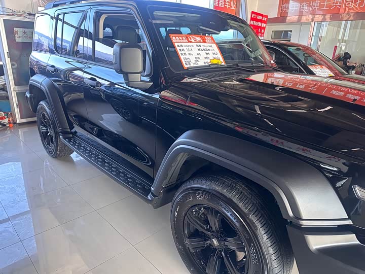 Фото 9 - Tank 300