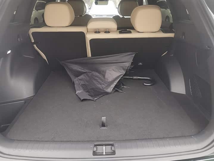 Фото 4 - Geely Monjaro