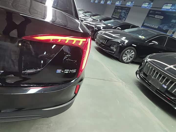 Фото 8 - Hongqi E-QM5