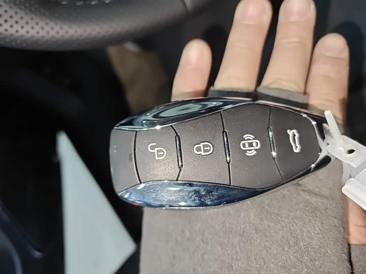 Фото 9 - Hongqi H5 Hybrid