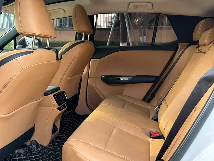 Фото 5 - Lexus RZ