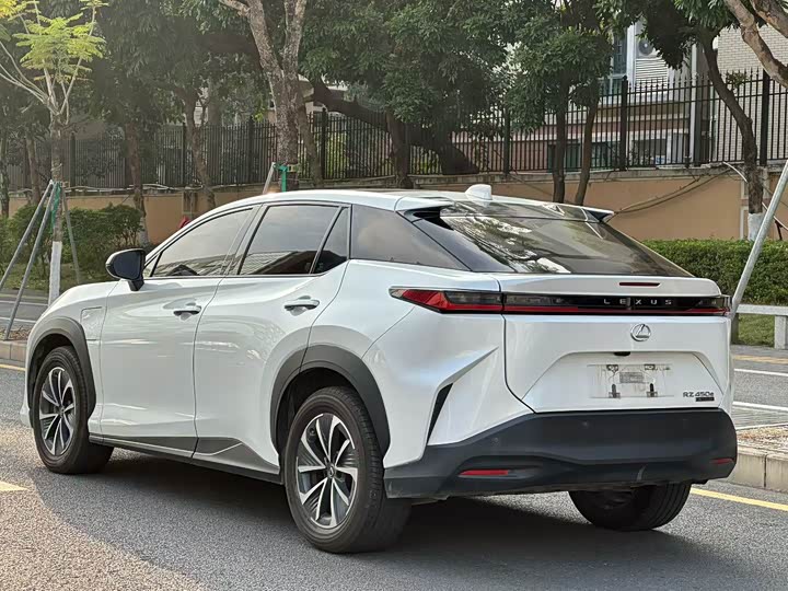 Фото 7 - Lexus RZ