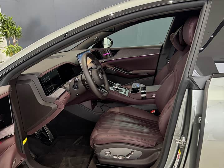 Фото 3 - Denza Z9GT