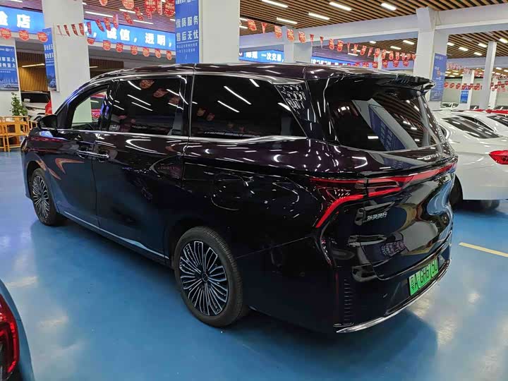 Фото 3 - Dongfeng Forthing Xinghai V9