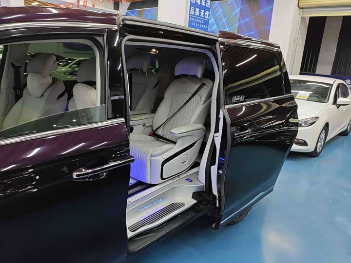 Фото 5 - Dongfeng Forthing Xinghai V9