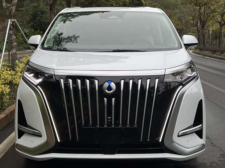 Фото 2 - Denza D9