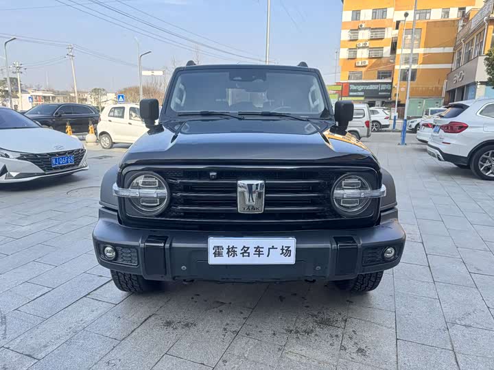 Фото 2 - Tank 300