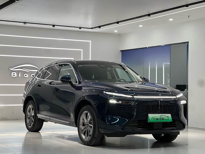 Фото 2 - Wey Mocca Hybrid