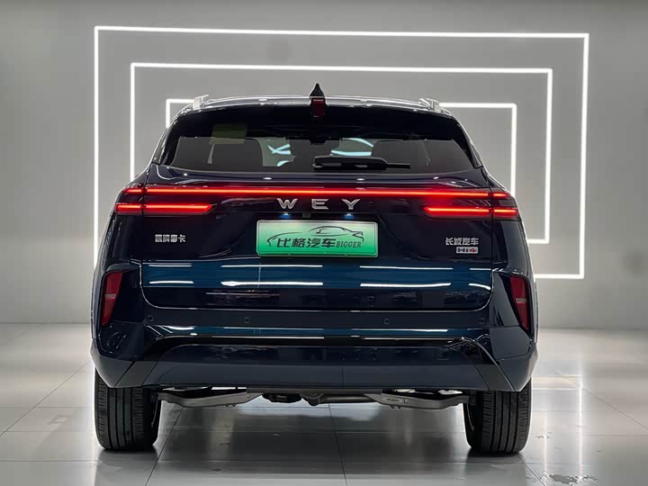 Фото 5 - Wey Mocca Hybrid