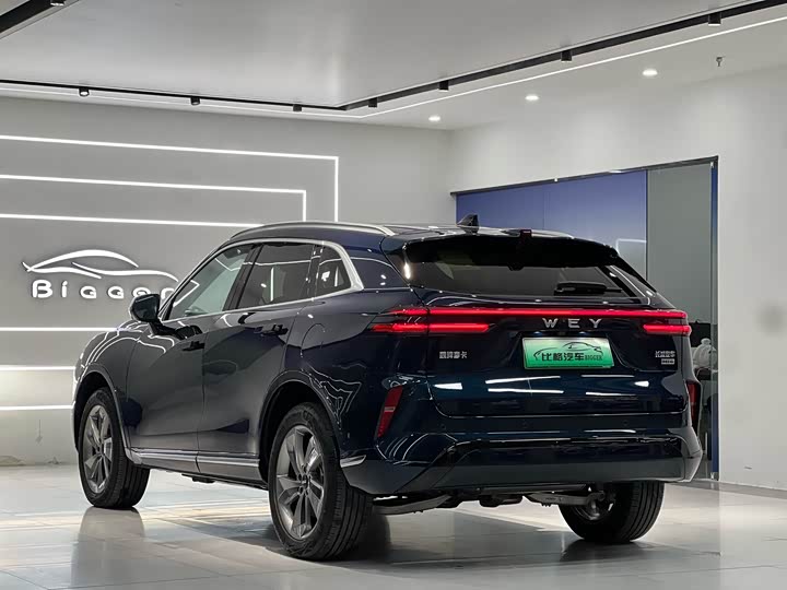 Фото 6 - Wey Mocca Hybrid