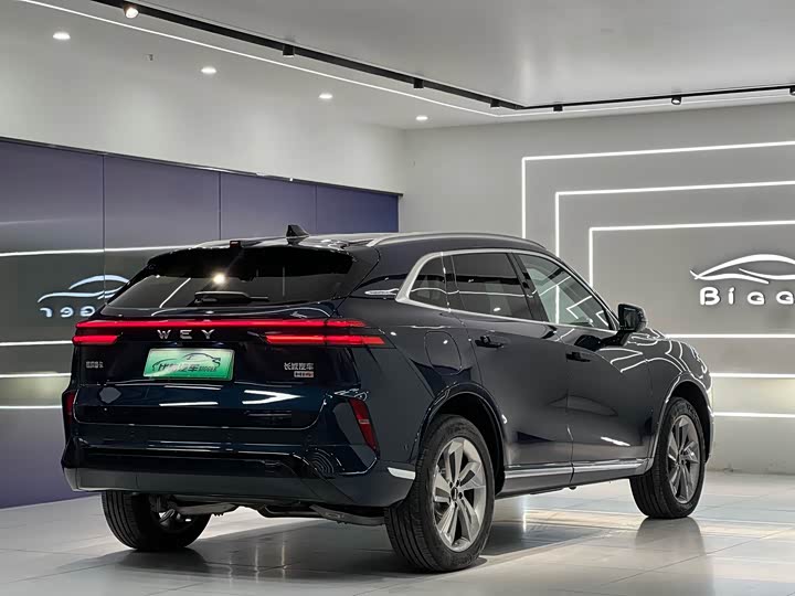 Фото 7 - Wey Mocca Hybrid