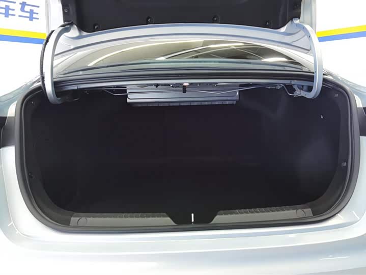 Фото 4 - GAC Trumpchi Empow R