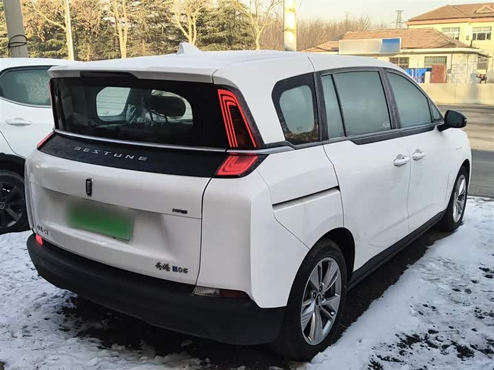 Фото 7 - Bestune NAT