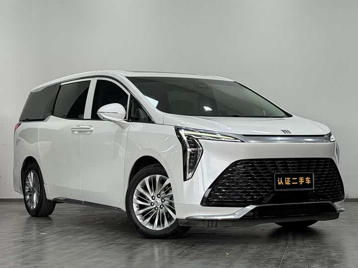 Фото 3 - Buick GL8 Century