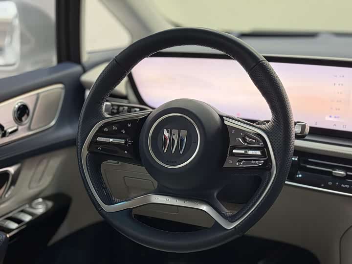 Фото 7 - Buick GL8 Century