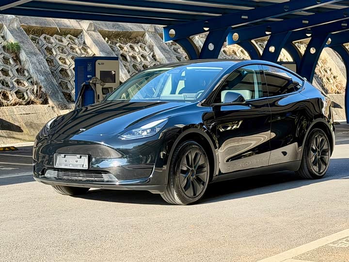 Фото 1 - Tesla Model Y