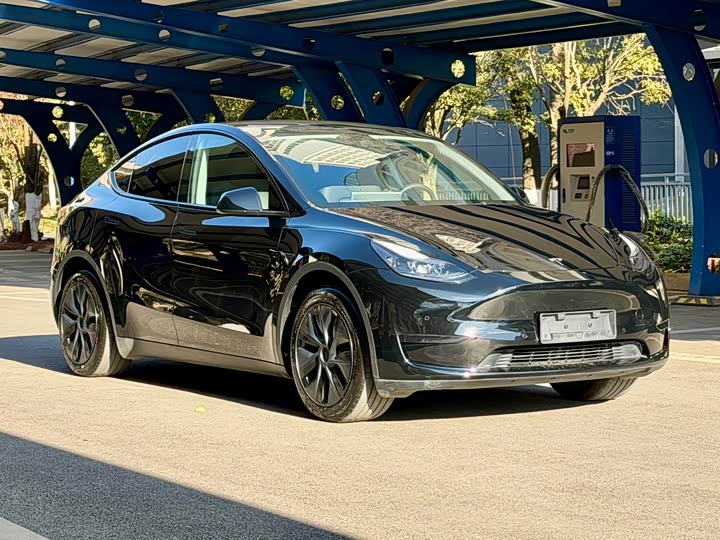Фото 3 - Tesla Model Y