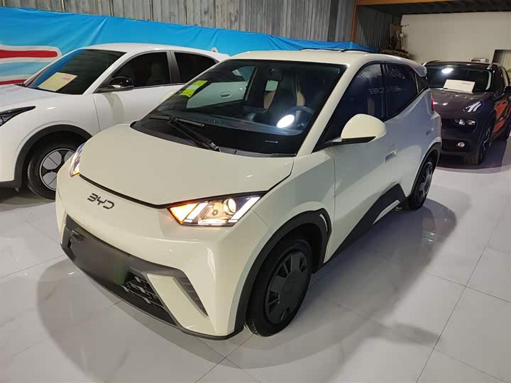 Фото 1 - BYD Seagull