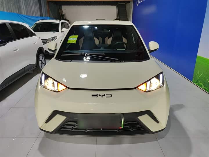 Фото 3 - BYD Seagull