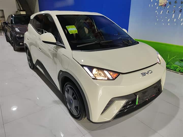 Фото 4 - BYD Seagull